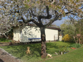 Family idyll Comfortable holiday residence, Kargow